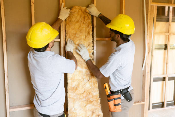 Best Soundproof Insulation  in Brenham, TX